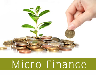 micro finance | svbnidhi